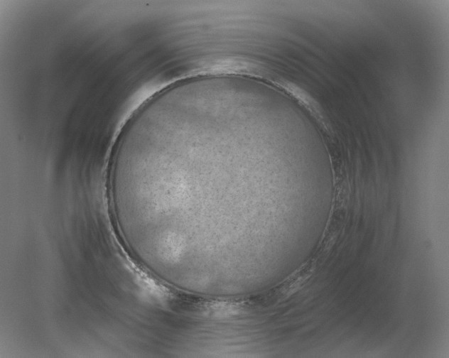 X0000079281086200612011652