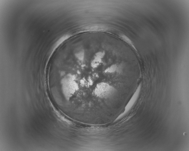 X0000079281087200612011652