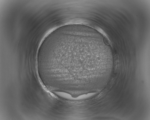 X0000079281088200612011652