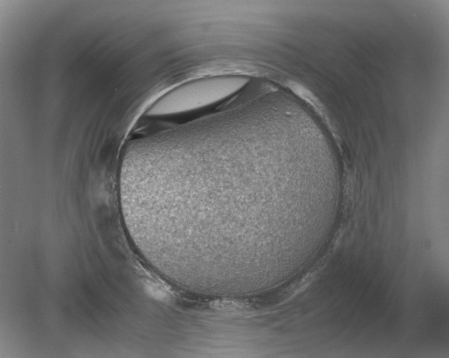 X0000079281089200612011652