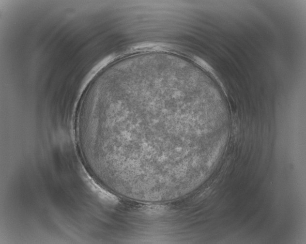 X0000079281090200612011652