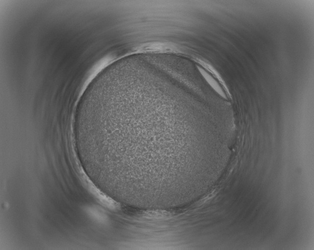 X0000079281091200612011652