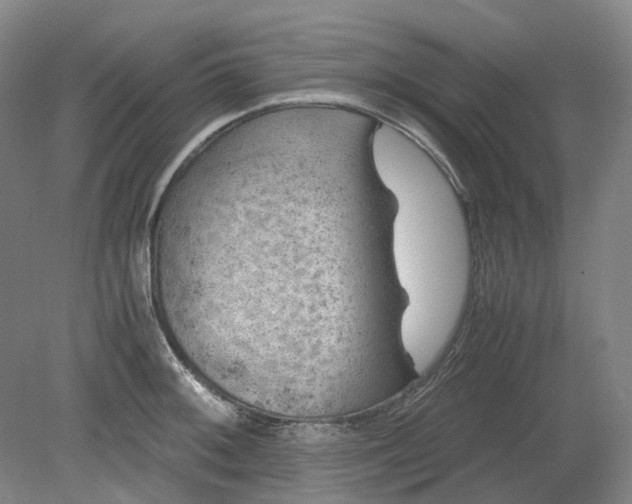 X0000079281092200612011652