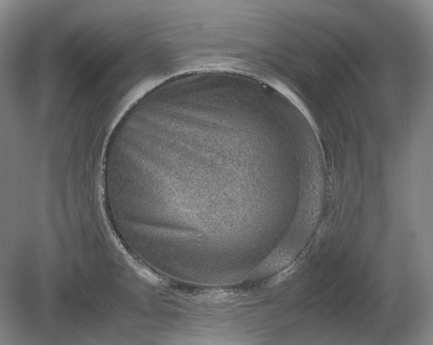 X0000079281093200612011652