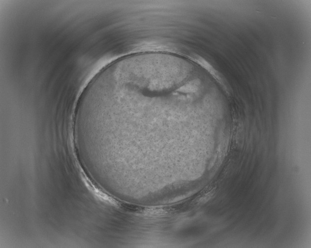 X0000079281094200612011652