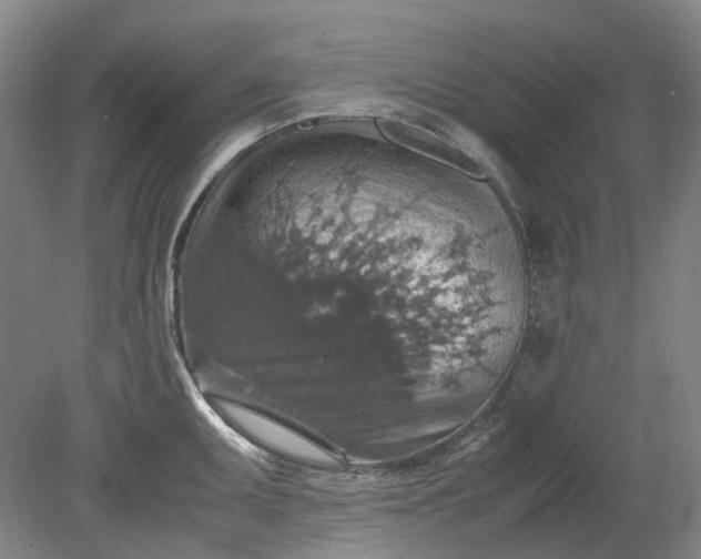 X0000079281095200612011652