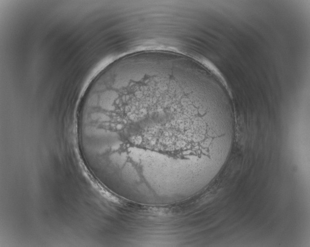 X0000079281096200612011652