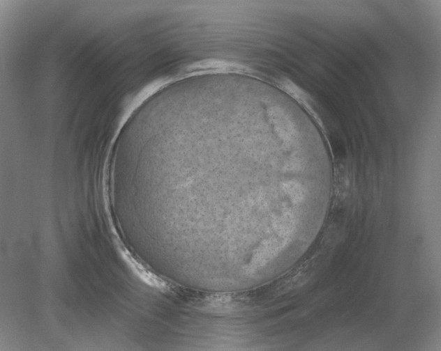 X0000079281098200612011652