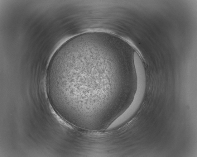 X0000079281100200612011652