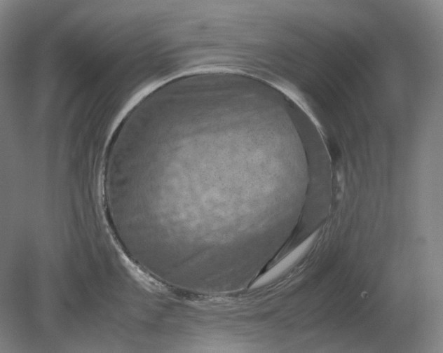 X0000079281101200612011652