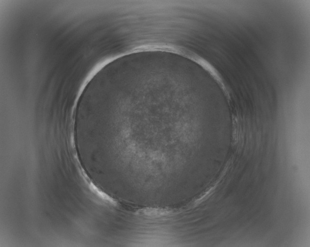 X0000079281102200612011651