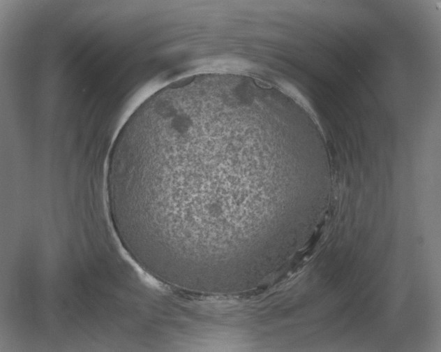 X0000079281103200612011651