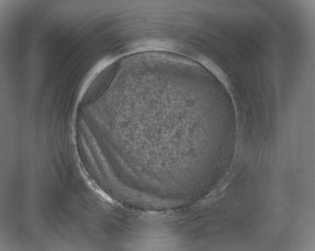 X0000079281104200612011651