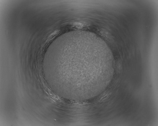 X0000079281105200612011651