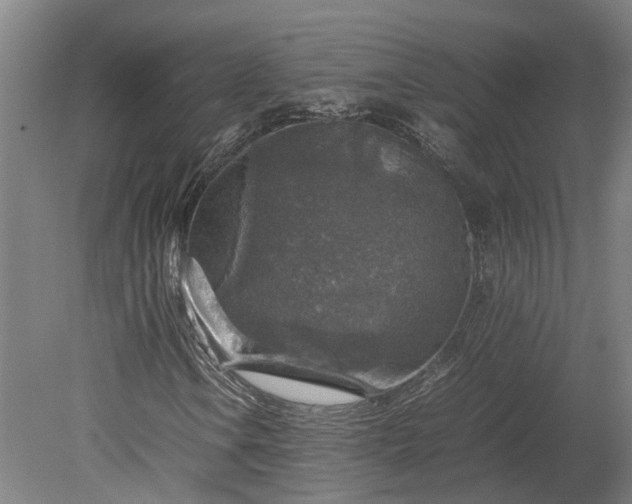 X0000079281106200612011651