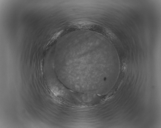 X0000079281108200612011651