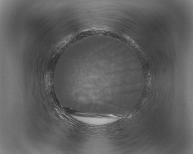 X0000079281110200612011651