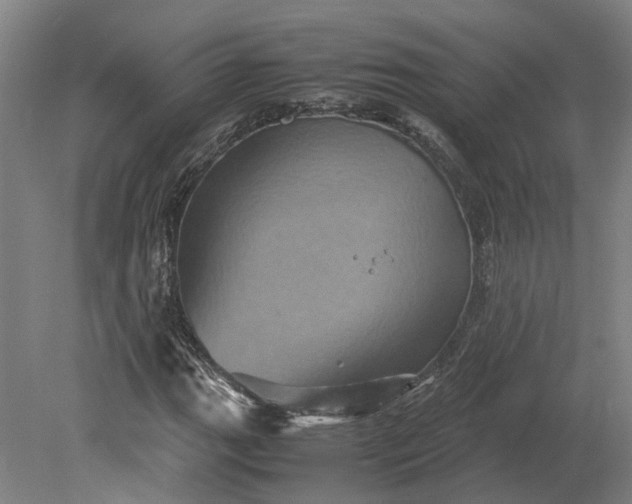 X0000079281111200612011651