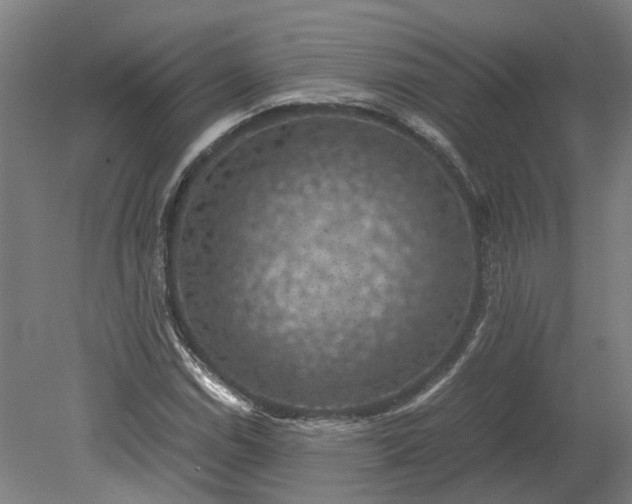 X0000079281114200612011651