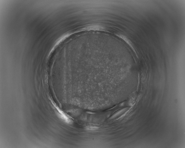 X0000079281115200612011651