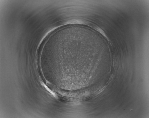 X0000079281116200612011651