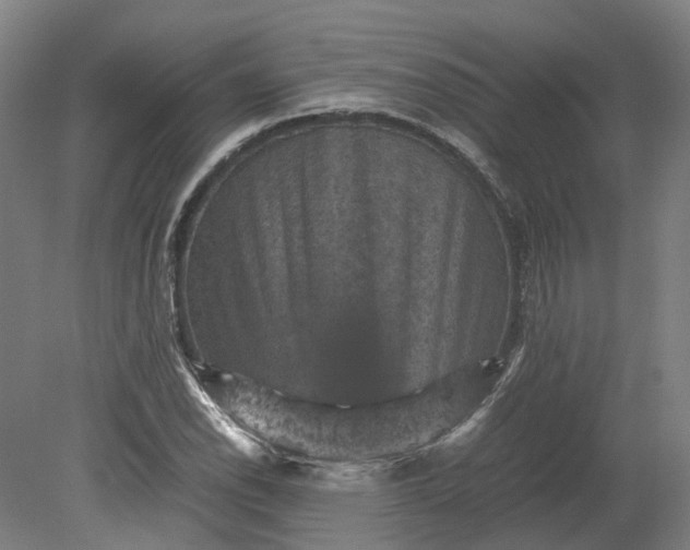 X0000079281118200612011651