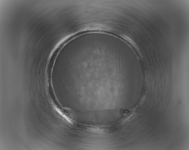 X0000079281120200612011651