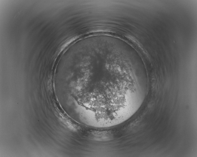 X0000079281121200612011651