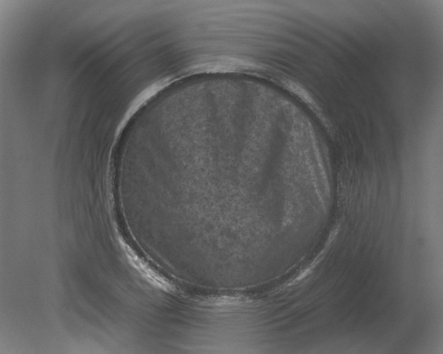 X0000079281122200612011651