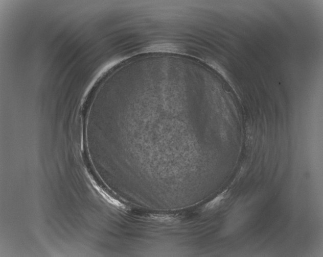 X0000079281123200612011651