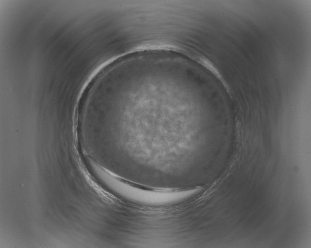 X0000079281124200612011651