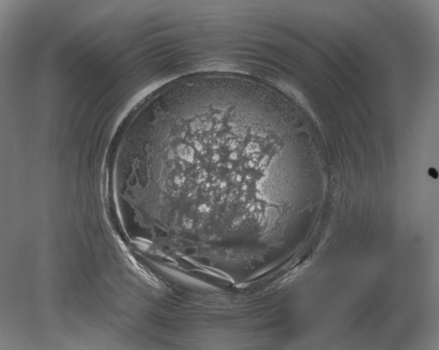 X0000079281125200612011651