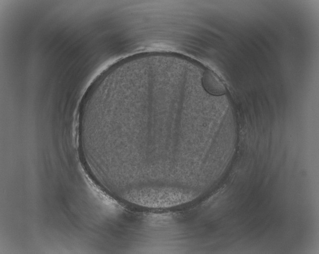 X0000079281126200612011651