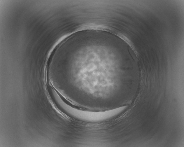 X0000079281128200612011651