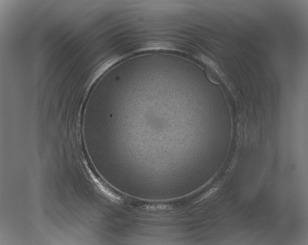 X0000079281129200612011651