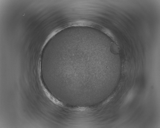 X0000079281130200612011651