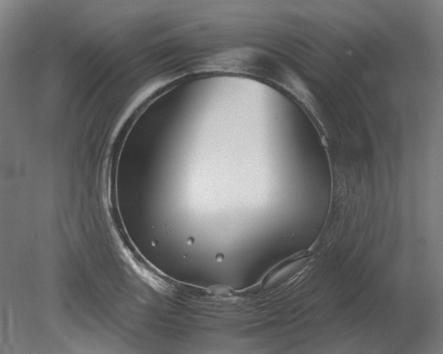 X0000079281131200612011651