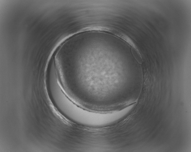 X0000079281132200612011651