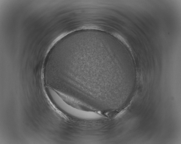 X0000079281133200612011651