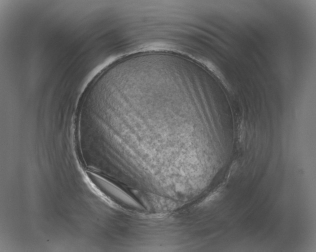 X0000079281134200612011651