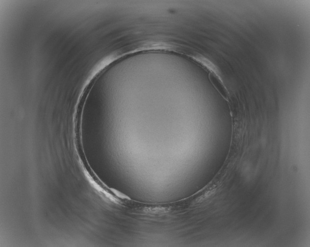 X0000079281135200612011651