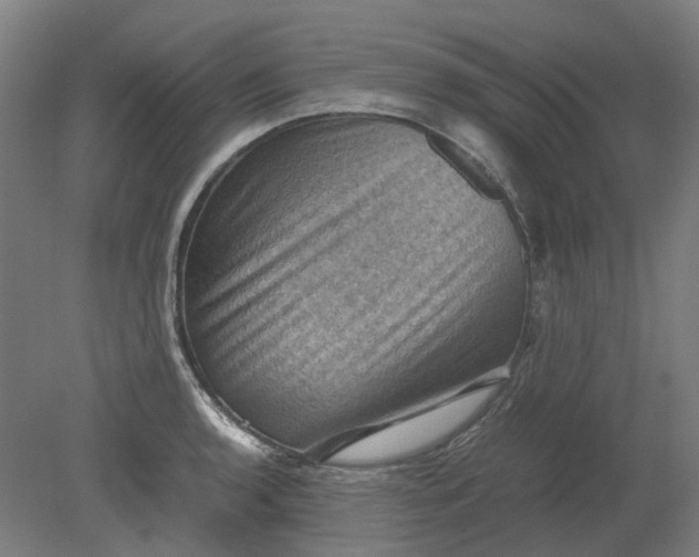 X0000079281136200612011651