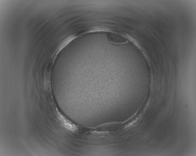 X0000079281137200612011651