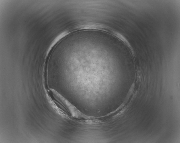 X0000079281138200612011651