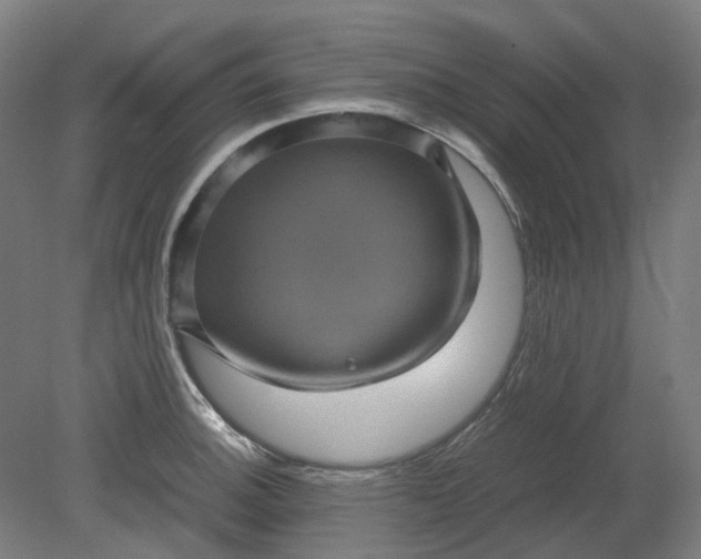 X0000079281140200612011651