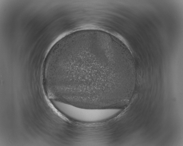 X0000079281142200612011651