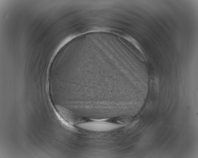 X0000079281143200612011651