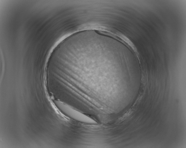 X0000079281144200612011651