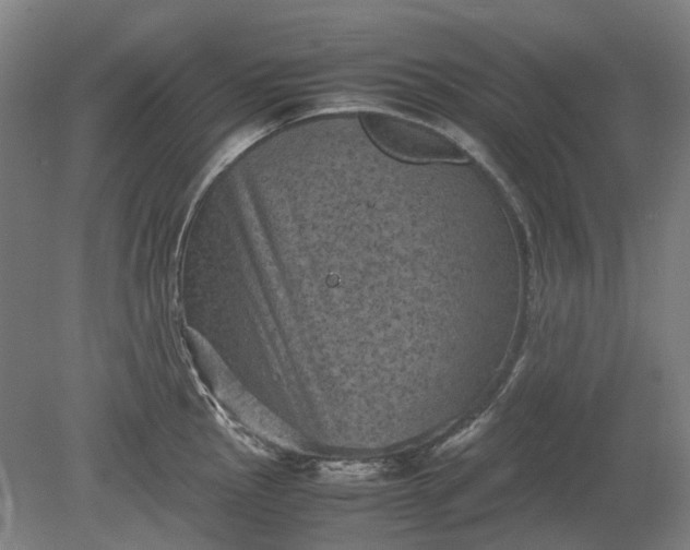 X0000079281145200612011651