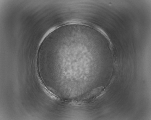 X0000079281146200612011651